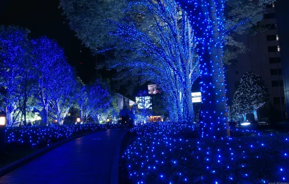 Trees, new year, Tokyo, neon