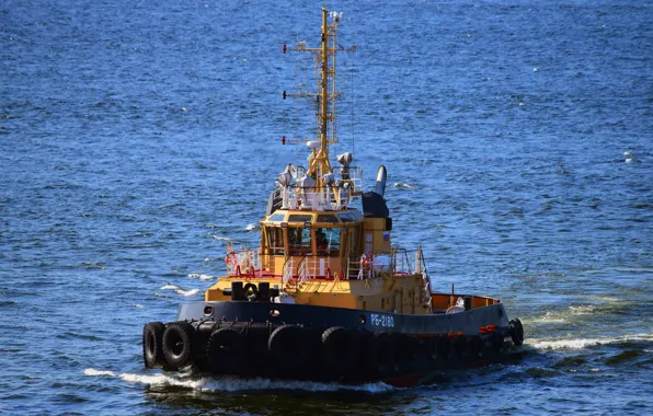Tug, sea, worker