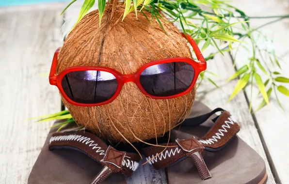 Glasses, summer, holiday, funny, coconut, slates, vacation, coconut
