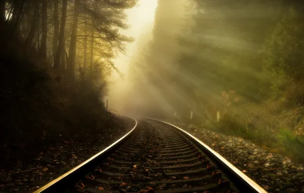 Picture road, fog, morning