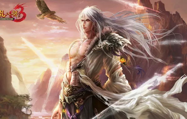 Picture fantasy, the game, anime, art, hero, eagle, guy, thien long bat bo 3