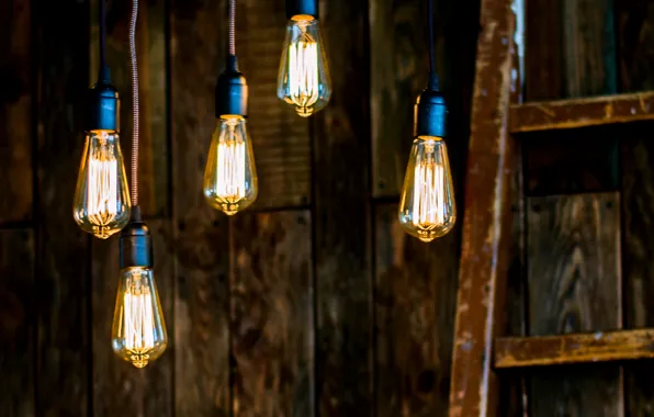 Picture lamp, tree, interior, light bulb, Studio, Shine