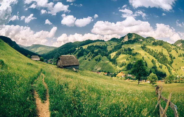 The sky, grass, clouds, trees, mountains, field, slope, houses