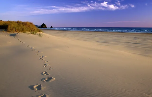 Picture sand, sea, shore, Traces
