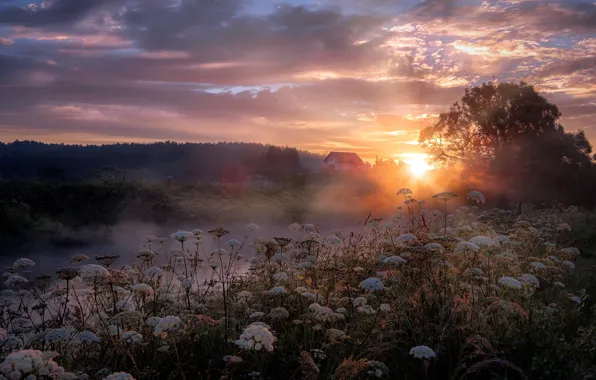 The sun, Clouds, Fog, River, House, Light, Dawn, Rays