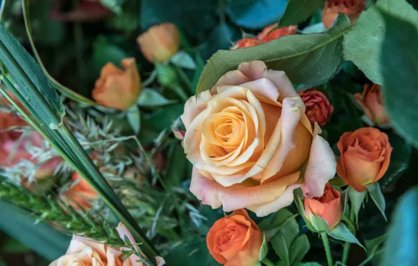 Greens, leaves, macro, flowers, roses, bouquet, yellow, orange