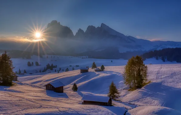 Picture winter, forest, the sky, the sun, rays, light, snow, trees