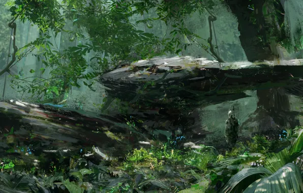 Forest, fiction, art