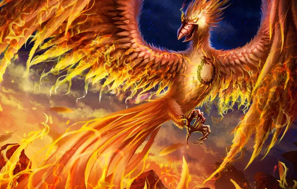Fiction, fire, bird, wings, beak, art, phoenix, Phoenix