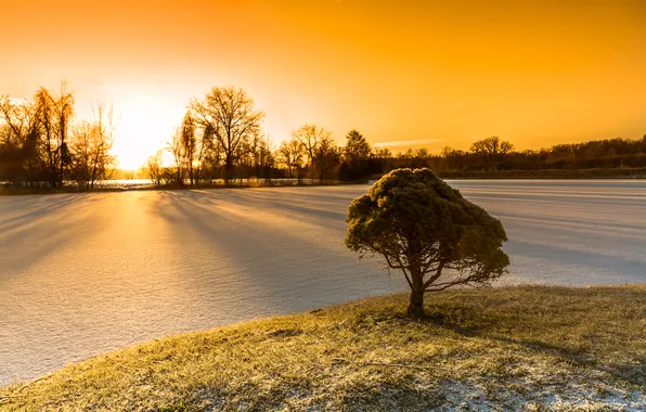 Winter, lake, morning