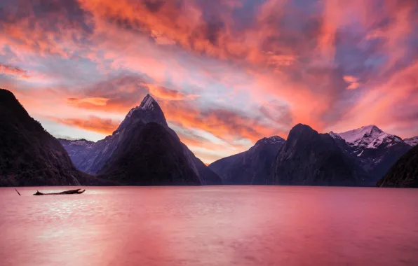 New Zealand, South island, Piopiotahi, the fjord Milford Sound
