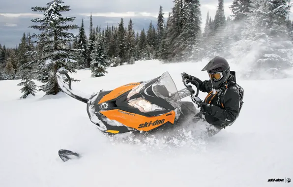 Picture snowmobile, 800, Summit, snowmobile, BRP, Ski Doo