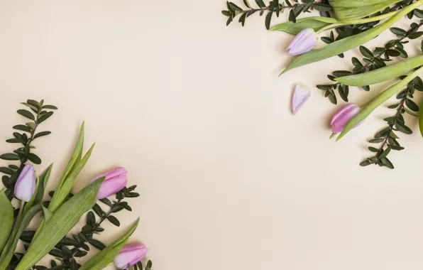 Greens, flowers, branches, Tulips, buds