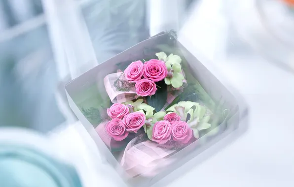 Picture white, flowers, pink