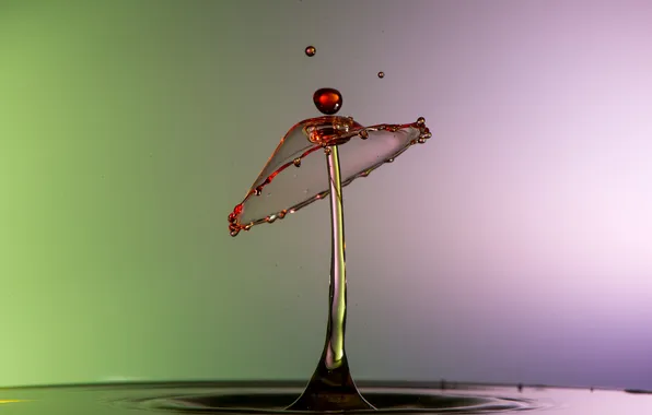 Water, squirt, color, drop, splash, liquid