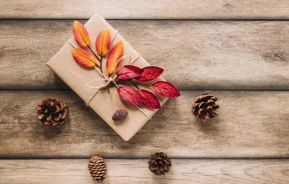 Leaves, photo, gift, Board, bumps