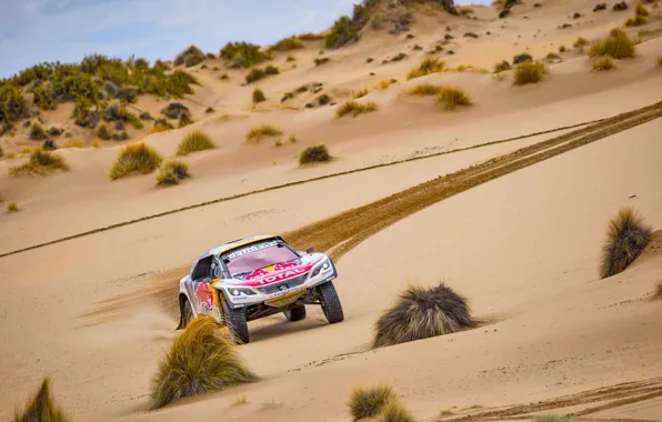 Sport, Speed, Race, Dirt, Peugeot, Lights, Red Bull, Rally