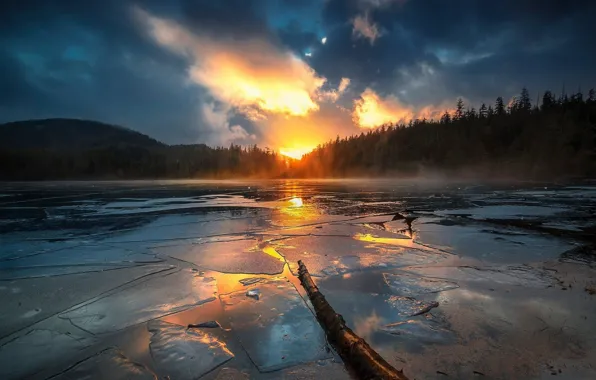 Picture ice, forest, the sky, the sun, clouds, river, shore, snag