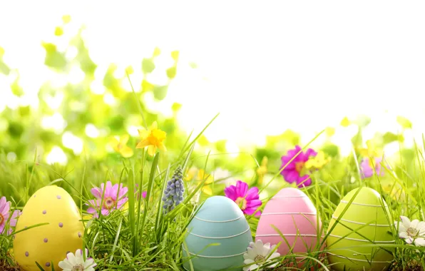 Picture grass, flowers, eggs, spring, Easter, grass, flowers, spring
