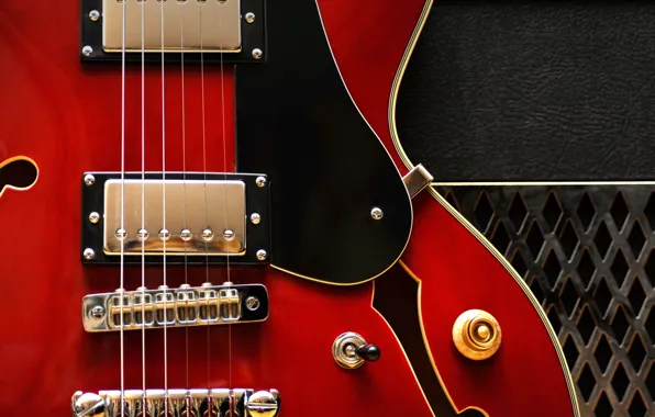 Macro, strings, electric guitar, Gibson 335