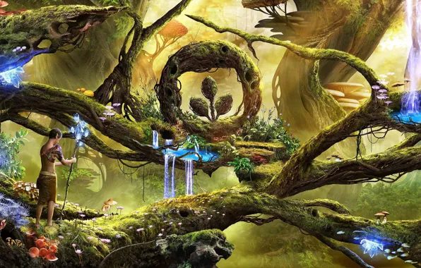 Forest, trees, sign, elf, mushrooms, crystals, staff, waterfalls