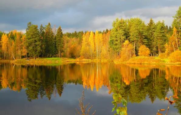 Picture autumn, forest, the sky, reflection, river
