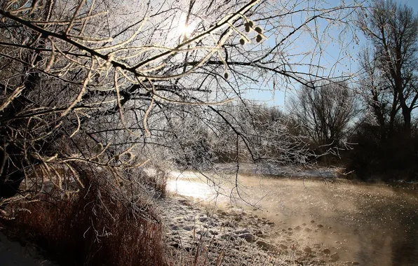 Winter, landscape, nature, river, beauty, frost