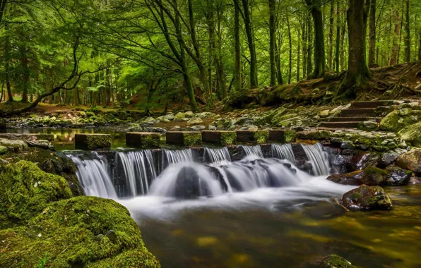 Forest, Park, river, waterfall, Northern Ireland