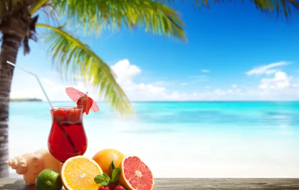 Picture tropics, Palma, umbrella, orange, shell, strawberry, cocktail, lime