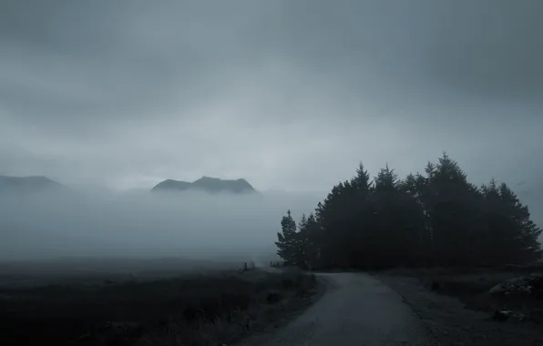 Picture road, forest, mountains, fog