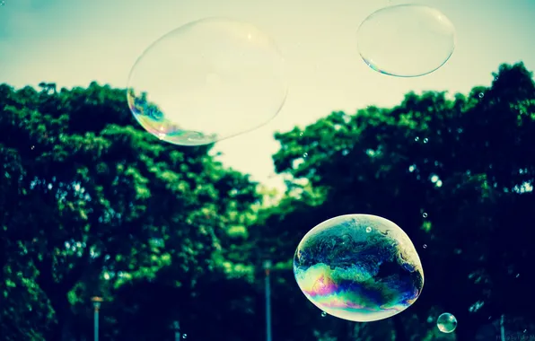 Bubbles, bubble, soap