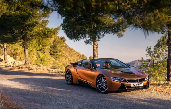 Picture auto, BMW, Roadster, pine