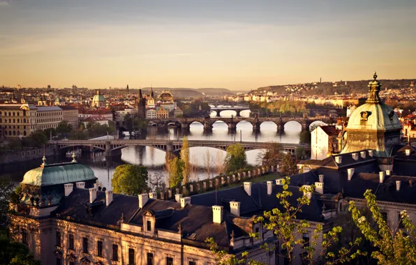 Trees, the city, river, dawn, building, home, roof, Prague