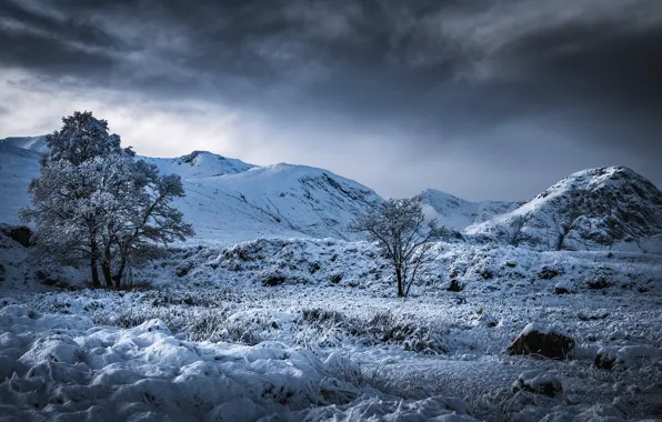 Winter, trees, mountains, valley, Scotland, Scotland, Highland, Highland