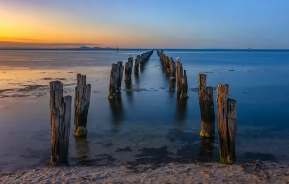 Sea, bridge, shore, morning