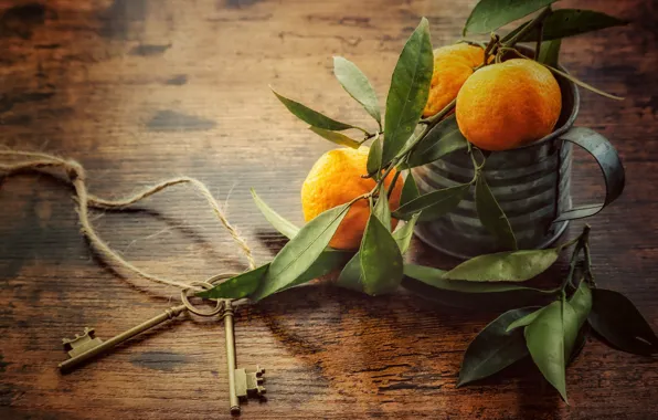 Leaves, table, bouquet, rope, mug, fruit, still life, keys
