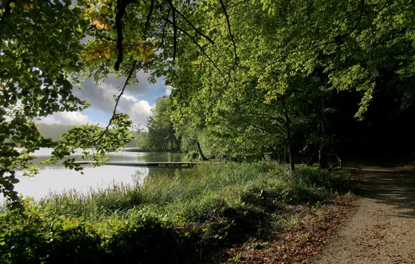 Picture Autumn, Lake, Forest, Nature, Fall, Track, Autumn, Lake