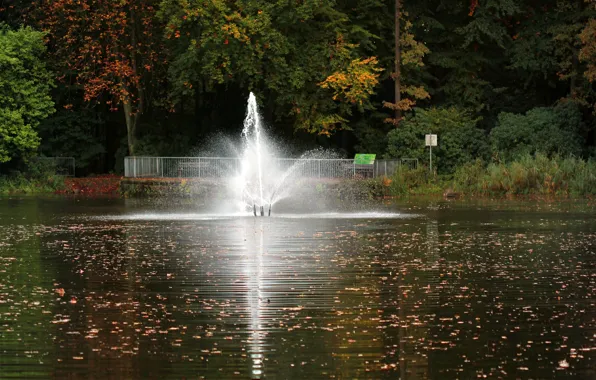 Autumn, leaves, reflection, trees, nature, pond, colors, fountain