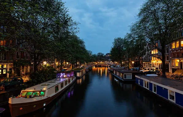 Trees, lights, home, the evening, Amsterdam, lights, channel, Netherlands