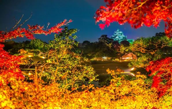 Picture autumn, leaves, night, lights, paint, Japan, pagoda