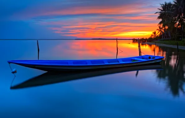 Beach, sunset, palm trees, boat