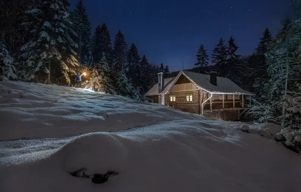 Picture winter, forest, light, snow, trees, night, nature, house