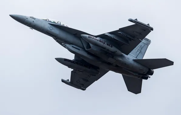 The plane, flies, combat, F/A-18 Super Hornet, VAQ-141