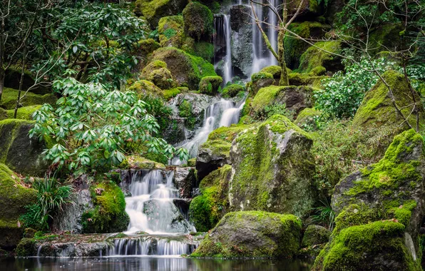 Nature, stones, waterfall, Oregon, USA, national Park
