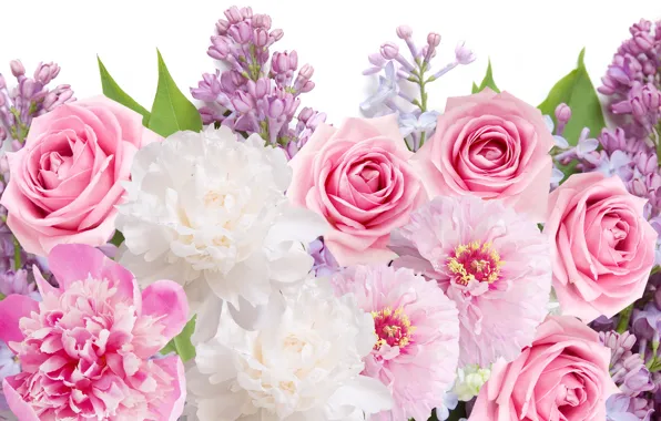 Picture flowers, roses, flowers, lilac, peonies, roses, peonies, lilacs