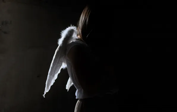 Picture girl, light, shadow, angel