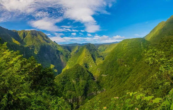 Greens, the sky, clouds, mountains, rocks, France, gorge, Sunny