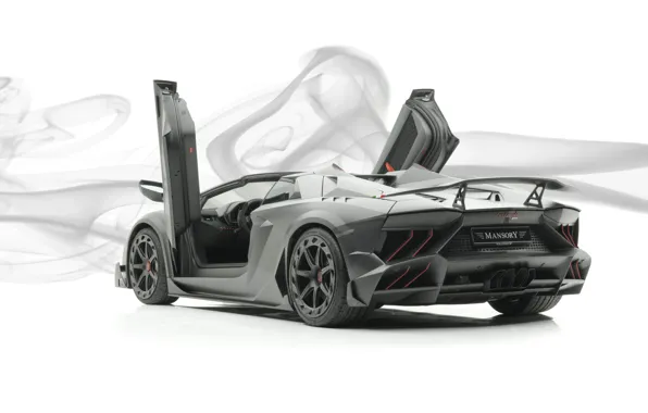 Roadster, Lamborghini, supercar, Aventador, Mansory, 2019, Carbonado Evo