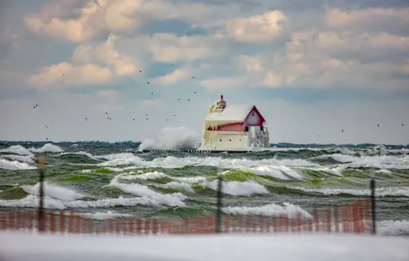 Winter, sea, wave, the sky, clouds, snow, birds, storm