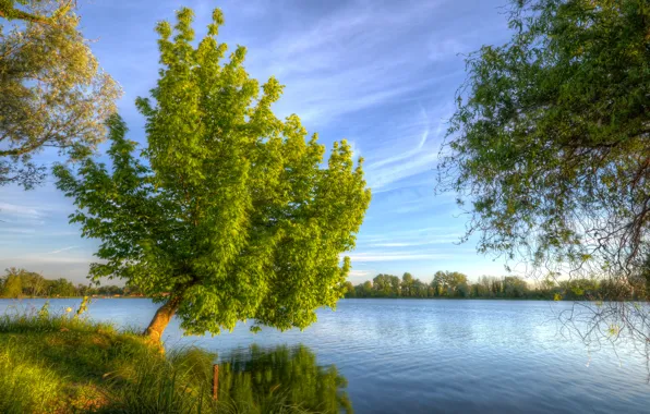 The sky, grass, clouds, landscape, river, tree